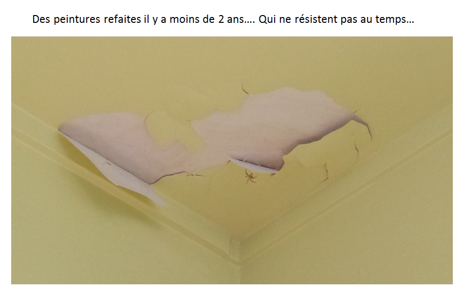 Casanova_DossierPhotos_10